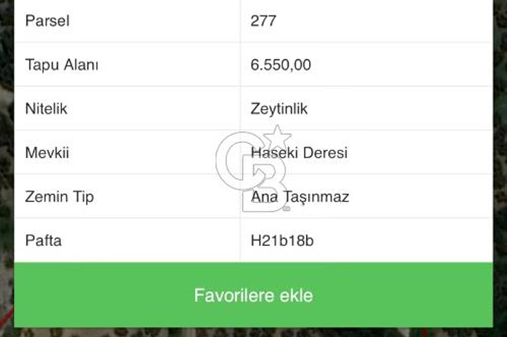 MUDANYA YÖRÜKALİ'DE SATILIK BAKIMLI ZEYTİNLİK