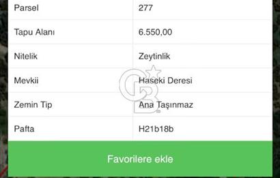 MUDANYA YÖRÜKALİ'DE SATILIK BAKIMLI ZEYTİNLİK