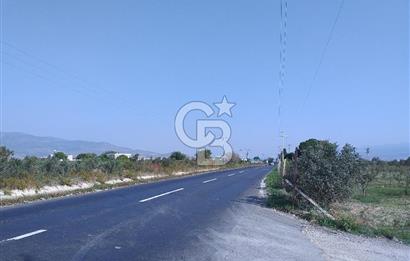MENEMEN MALTEPE YOLU ÜZERİNDE KİRALIK OFİS+DEPO