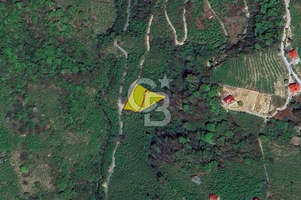 ARSİN DİLEK MAH. MERKEZE 6 KM MESAFEDE SATILIK ARSA