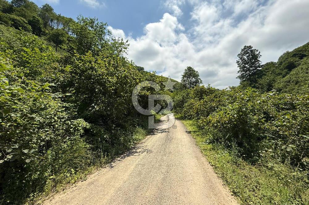 ARSİN DİLEK MAH. MERKEZE 6 KM MESAFEDE SATILIK ARSA