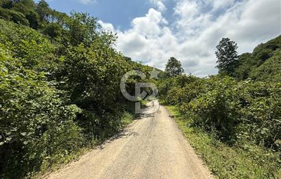 ARSİN DİLEK MAH. MERKEZE 6 KM MESAFEDE SATILIK ARSA