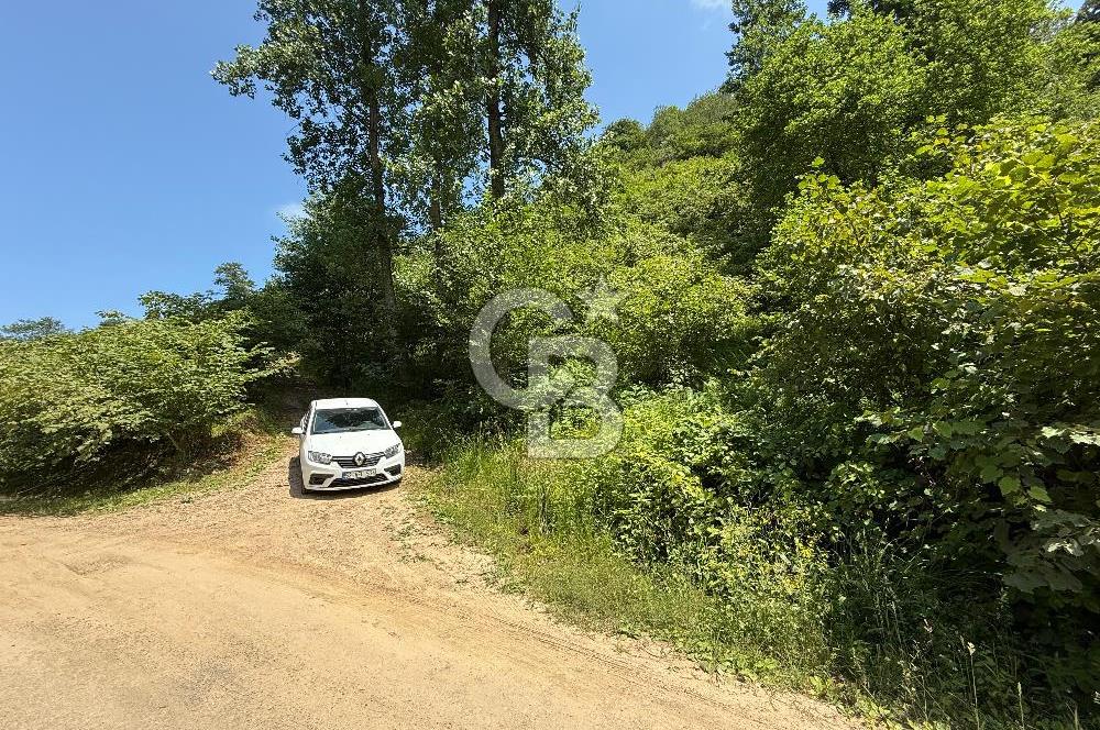 ARSİN DİLEK MAH. MERKEZE 6 KM MESAFEDE SATILIK ARSA
