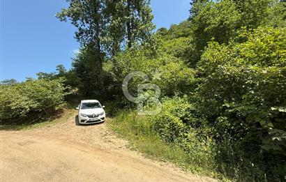 ARSİN DİLEK MAH. MERKEZE 6 KM MESAFEDE SATILIK ARSA