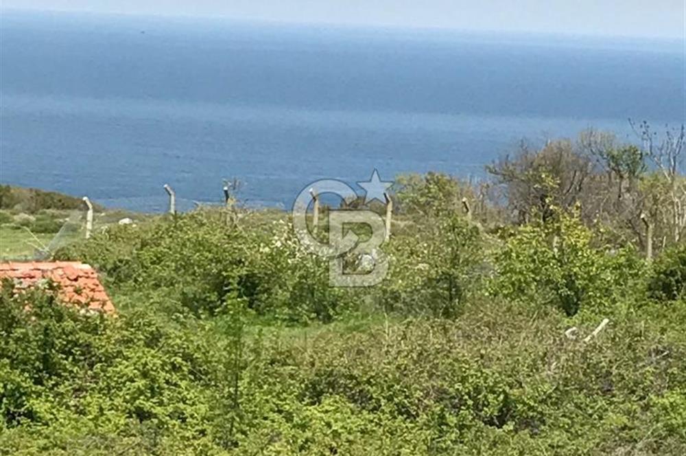 ANADOLU FENERİ'NDE BOĞAZ MANZARALI 3 KATLI MÜSTAKİL VİLLA 