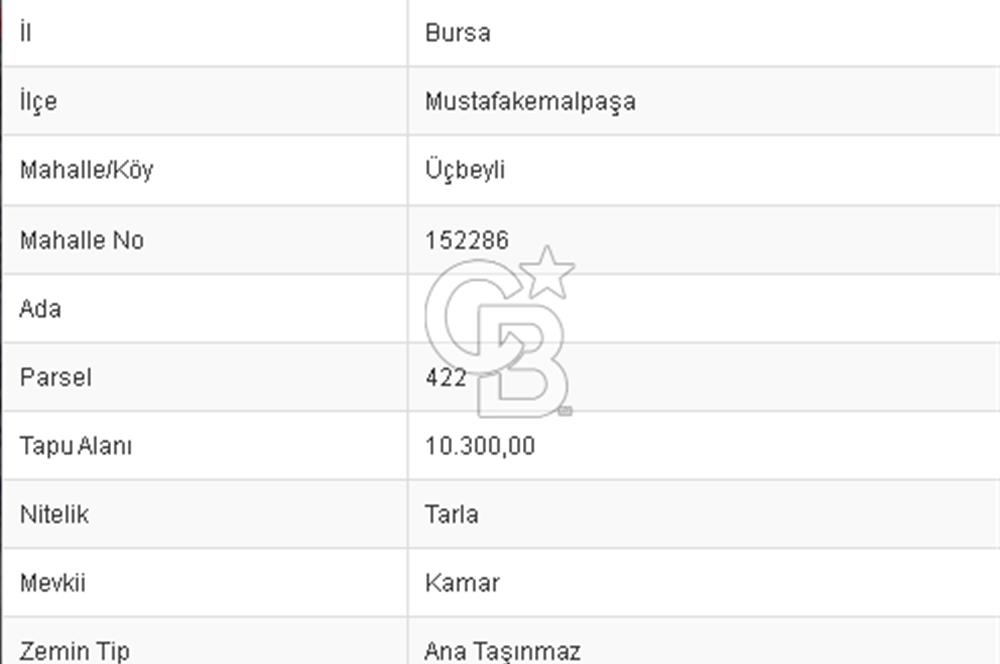 CB BLACK'TAN MUSTAFAKEMALPAŞA ÜÇBEYLİ'DE SATILIK TARLA