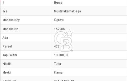 CB BLACK'TAN MUSTAFAKEMALPAŞA ÜÇBEYLİ'DE SATILIK TARLA