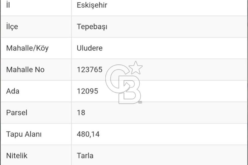 CB CITY'DEN ESKİŞEHİR ULUDERE'DE SATILIK TARLA