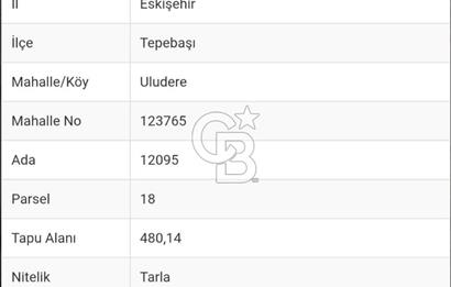 CB CITY'DEN ESKİŞEHİR ULUDERE'DE SATILIK TARLA