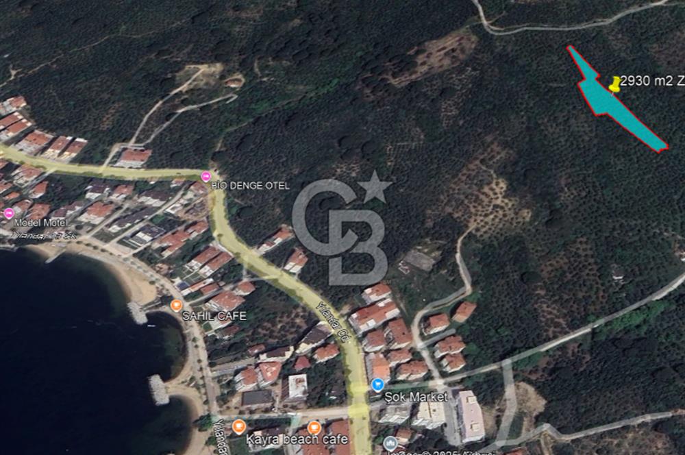 YALOVA ARMUTLU BAYIR AYAZMA MEVKİSİ SATILIK ZEYTİNLİK (2930m2)!