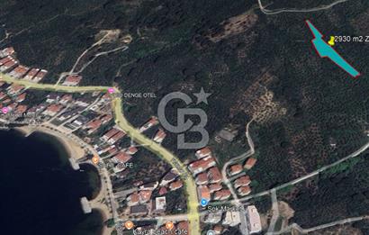 YALOVA ARMUTLU BAYIR AYAZMA MEVKİSİ SATILIK ZEYTİNLİK (2930m2)!