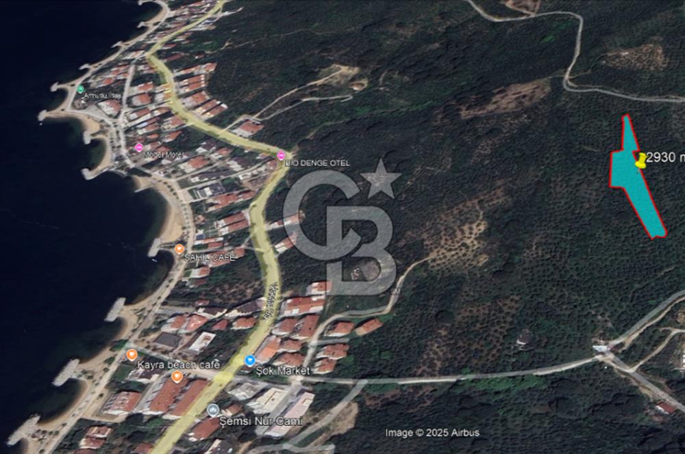 YALOVA ARMUTLU BAYIR AYAZMA MEVKİSİ SATILIK ZEYTİNLİK (2930m2)!