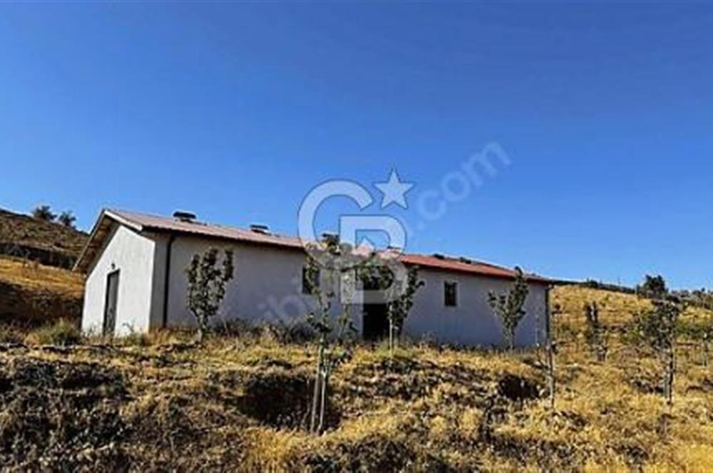YATIRIM VE YAŞAM FIRSATI EŞSİZ BİR ÇİFTLİK GÖLBAŞI BOYALIK