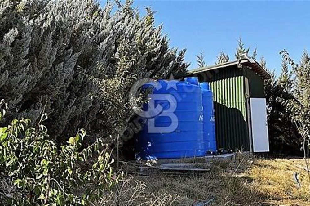 YATIRIM VE YAŞAM FIRSATI EŞSİZ BİR ÇİFTLİK GÖLBAŞI BOYALIK