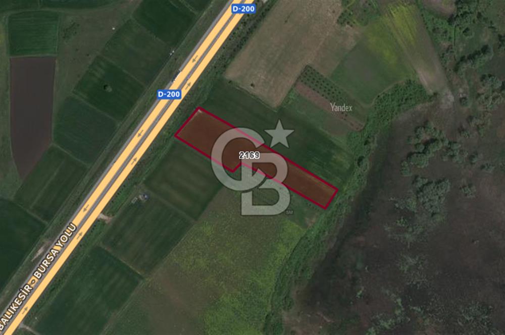 CB BLACK'TAN KARACABEY HARMANLI'DA SATILIK TARLA