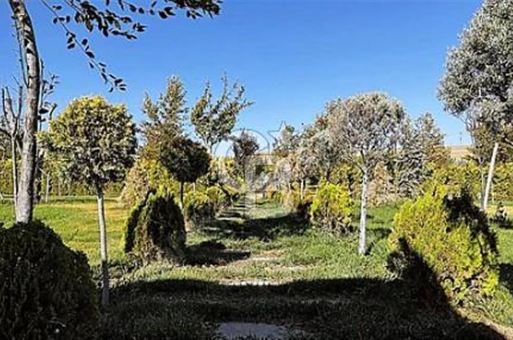 YATIRIM VE YAŞAM FIRSATI EŞSİZ BİR ÇİFTLİK GÖLBAŞI BOYALIK