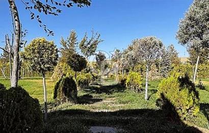 YATIRIM VE YAŞAM FIRSATI EŞSİZ BİR ÇİFTLİK GÖLBAŞI BOYALIK