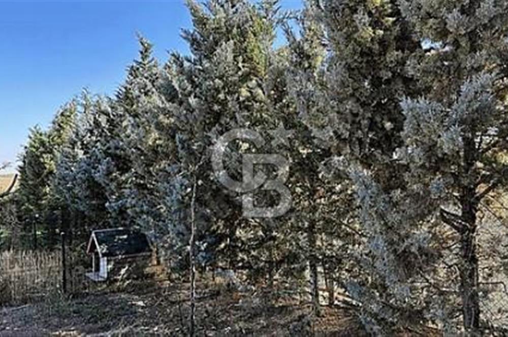 YATIRIM VE YAŞAM FIRSATI EŞSİZ BİR ÇİFTLİK GÖLBAŞI BOYALIK