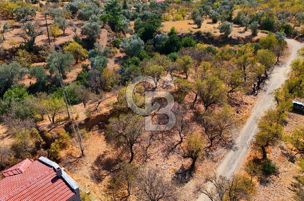 Datça Yaka'da 1.466 m² İmarlı Arsa