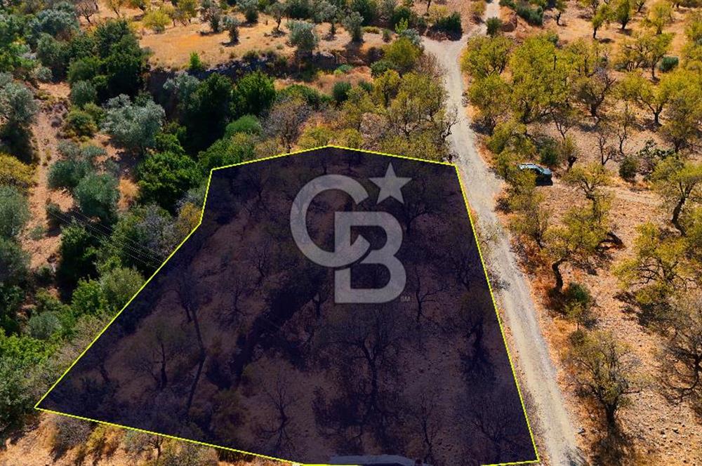 Datça Yaka'da 1.466 m² İmarlı Arsa