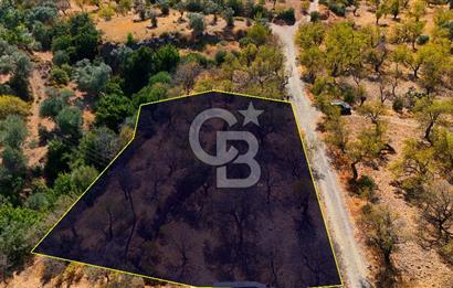 Datça Yaka'da 1.466 m² İmarlı Arsa