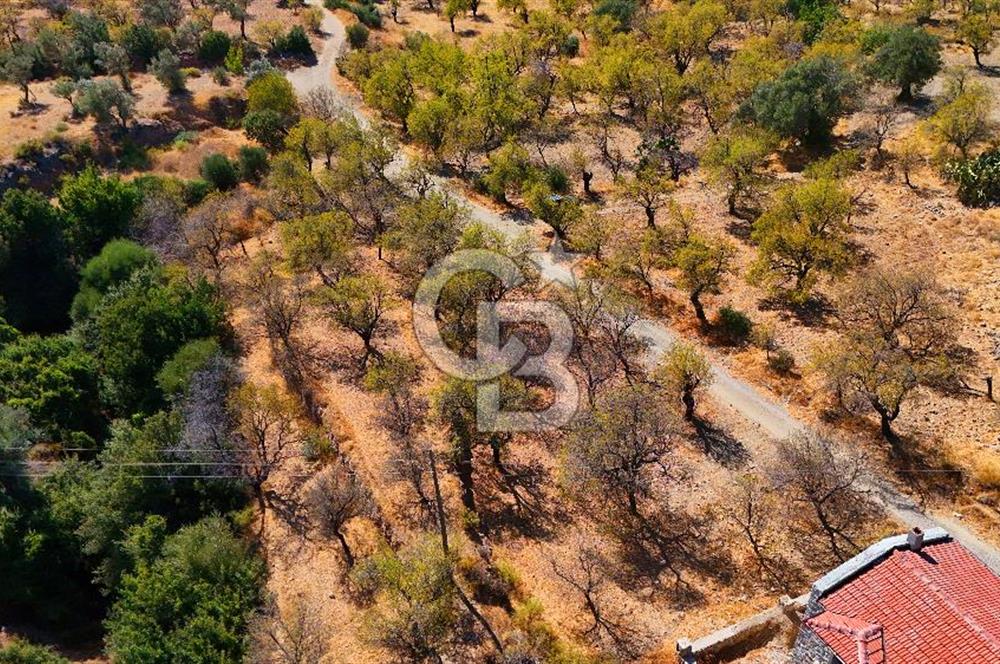 Datça Yaka'da 1.466 m² İmarlı Arsa