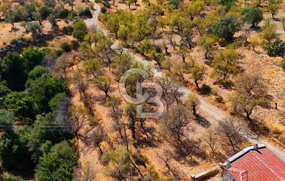 Datça Yaka'da 1.466 m² İmarlı Arsa