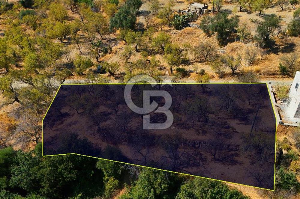 Datça Yaka'da 1.466 m² İmarlı Arsa