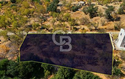 Datça Yaka'da 1.466 m² İmarlı Arsa