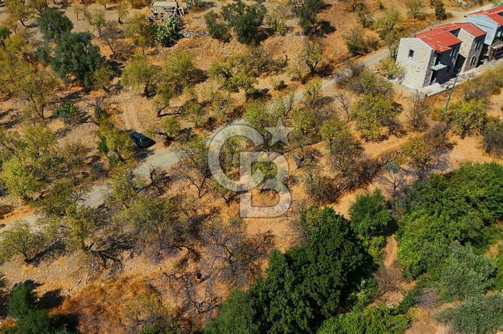 Datça Yaka'da 1.466 m² İmarlı Arsa