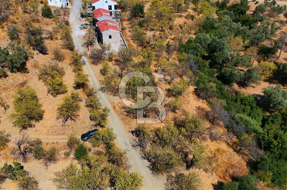 Datça Yaka'da 1.466 m² İmarlı Arsa