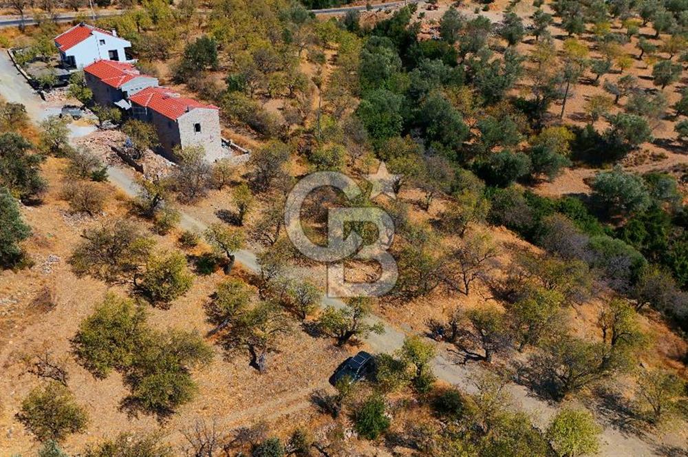 Datça Yaka'da 1.466 m² İmarlı Arsa