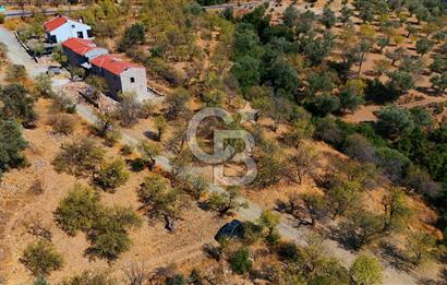 Datça Yaka'da 1.466 m² İmarlı Arsa