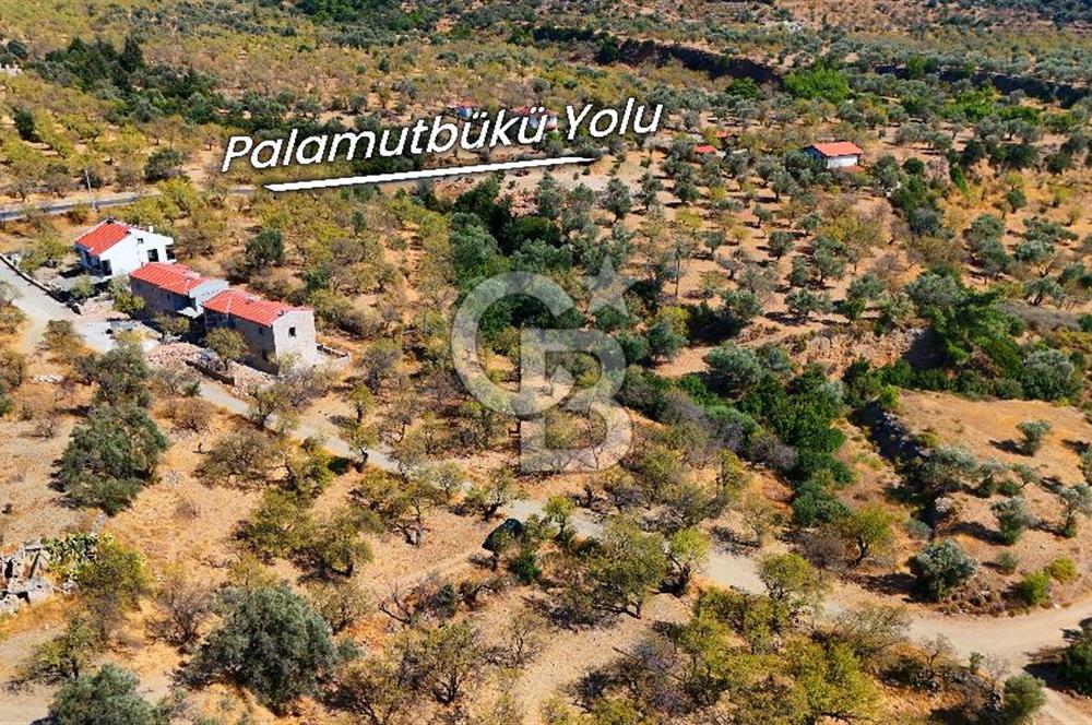 Datça Yaka'da 1.466 m² İmarlı Arsa