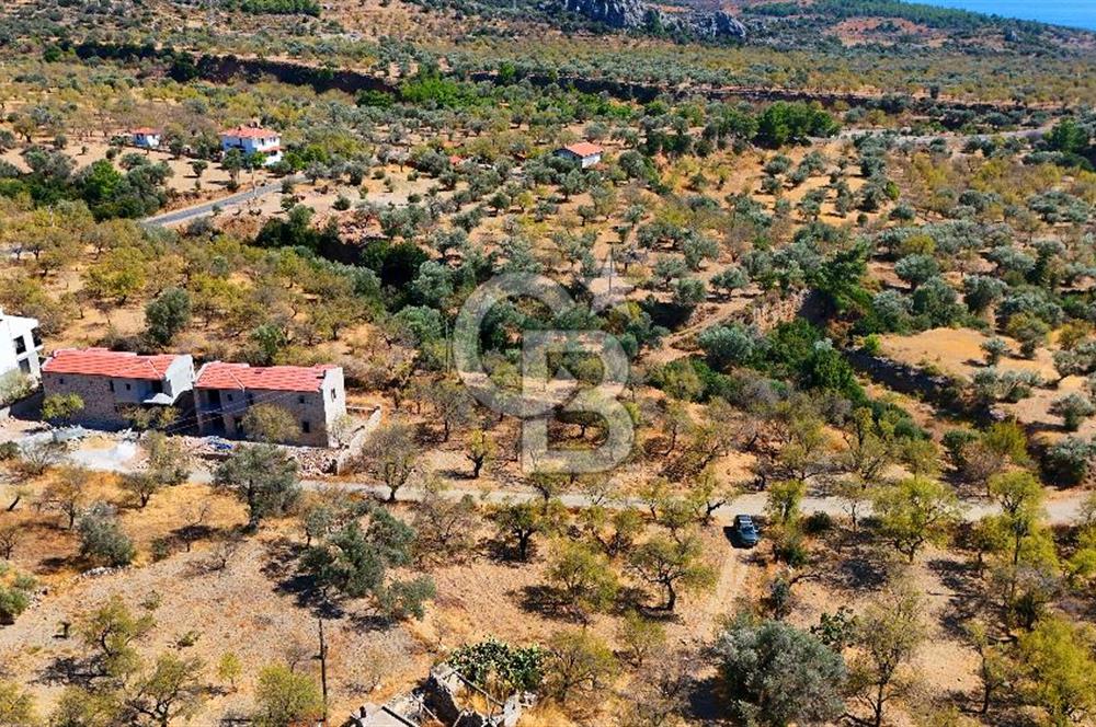 Datça Yaka'da 1.466 m² İmarlı Arsa
