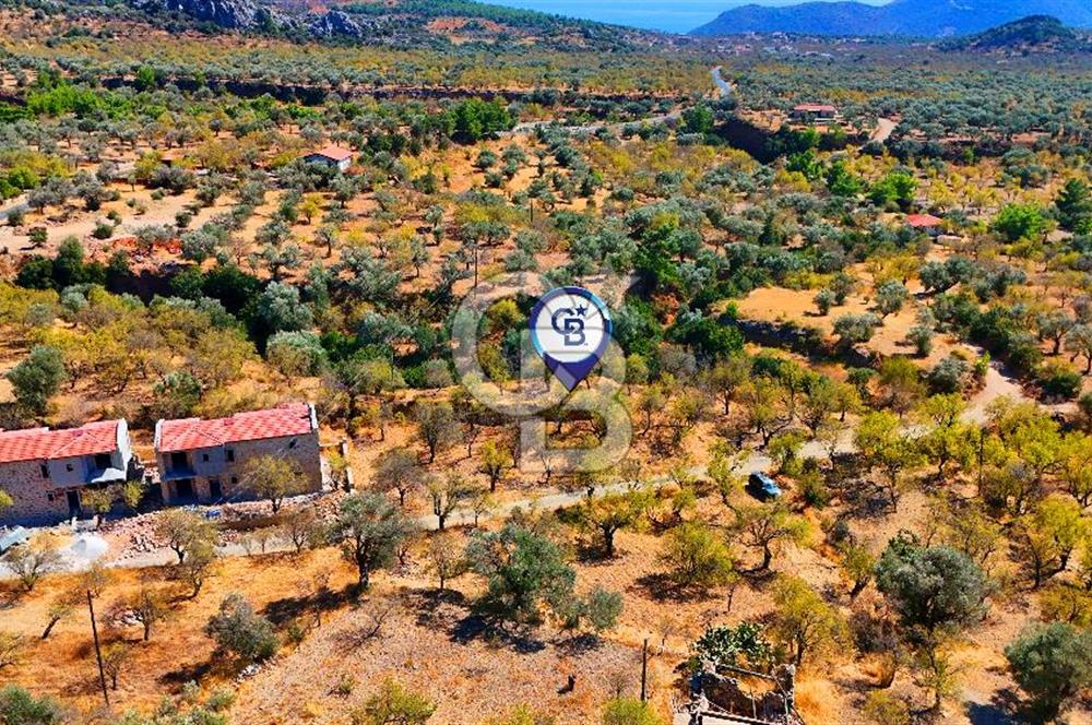 Datça Yaka'da 1.466 m² İmarlı Arsa