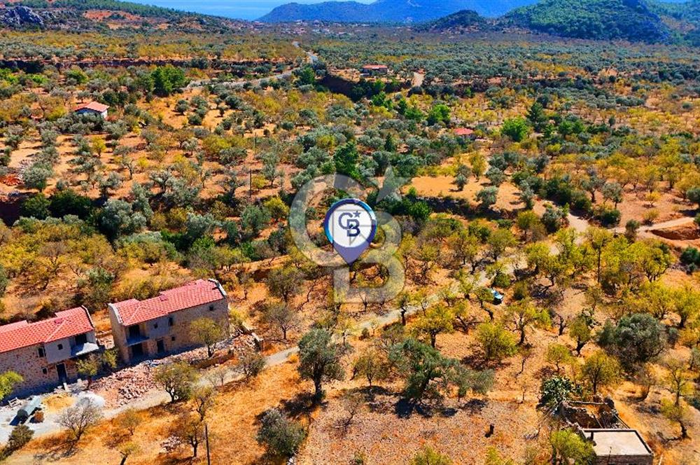 Datça Yaka'da 1.466 m² İmarlı Arsa