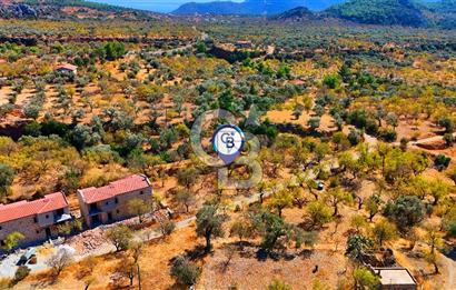 Datça Yaka'da 1.466 m² İmarlı Arsa