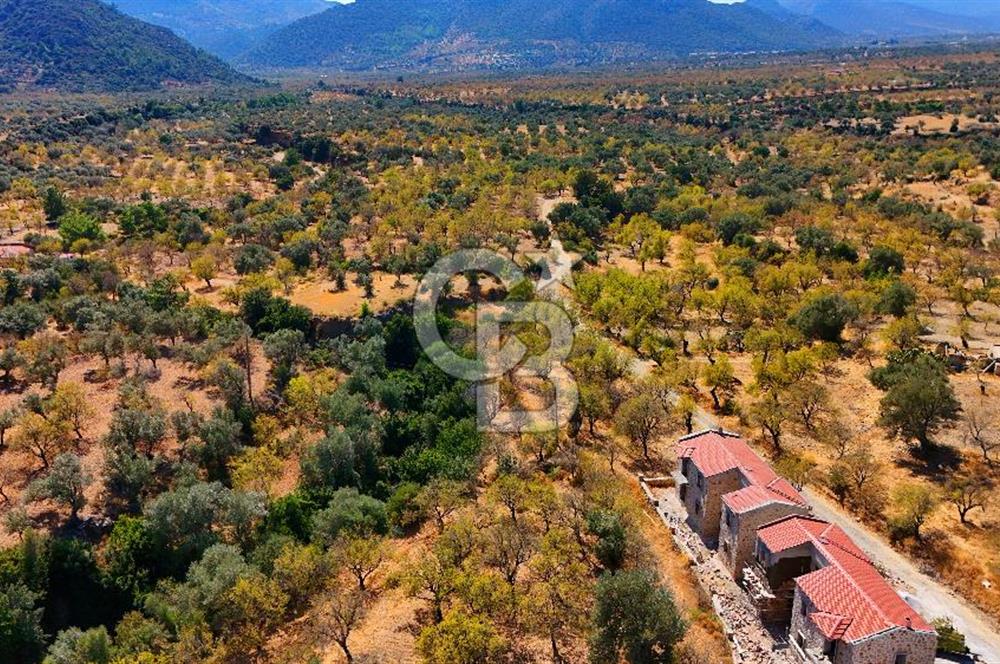 Datça Yaka'da 1.466 m² İmarlı Arsa