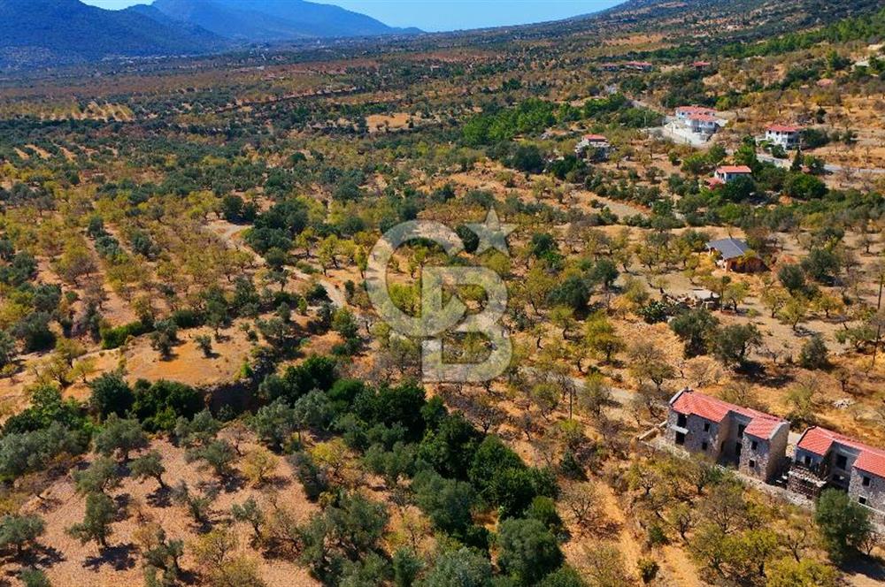 Datça Yaka'da 1.466 m² İmarlı Arsa
