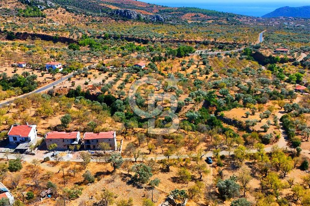 Datça Yaka'da 1.466 m² İmarlı Arsa