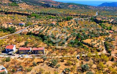 Datça Yaka'da 1.466 m² İmarlı Arsa
