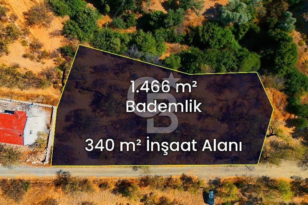 Datça Yaka'da 1.466 m² İmarlı Arsa