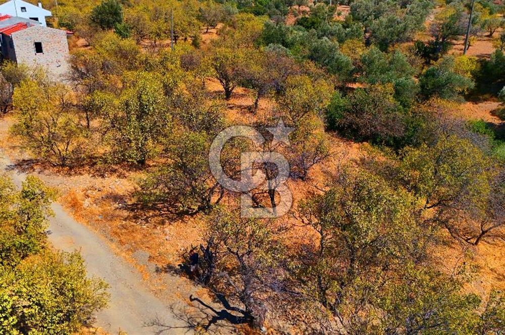 Datça Yaka'da 1.466 m² İmarlı Arsa