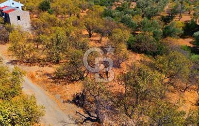 Datça Yaka'da 1.466 m² İmarlı Arsa