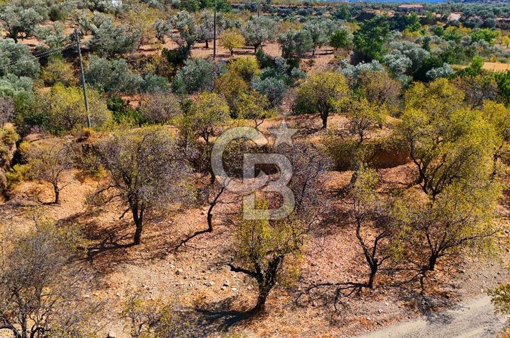 Datça Yaka'da 1.466 m² İmarlı Arsa