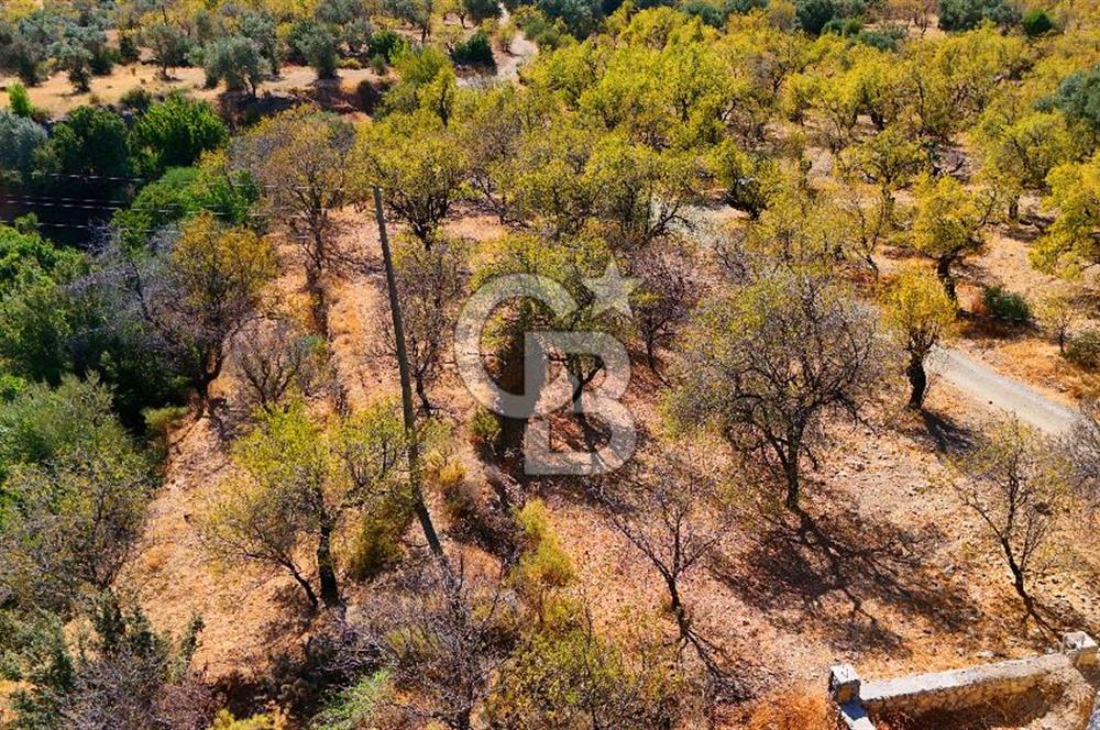 Datça Yaka'da 1.466 m² İmarlı Arsa