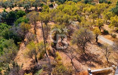 Datça Yaka'da 1.466 m² İmarlı Arsa
