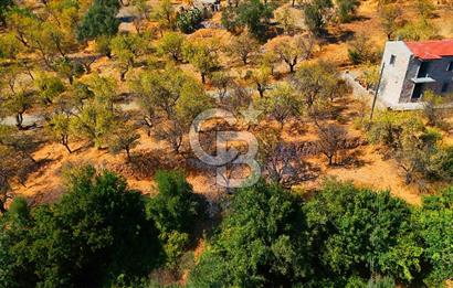 Datça Yaka'da 1.466 m² İmarlı Arsa