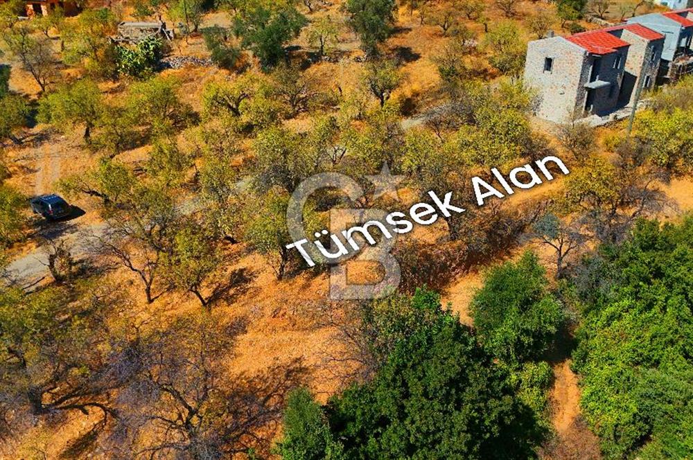 Datça Yaka'da 1.466 m² İmarlı Arsa